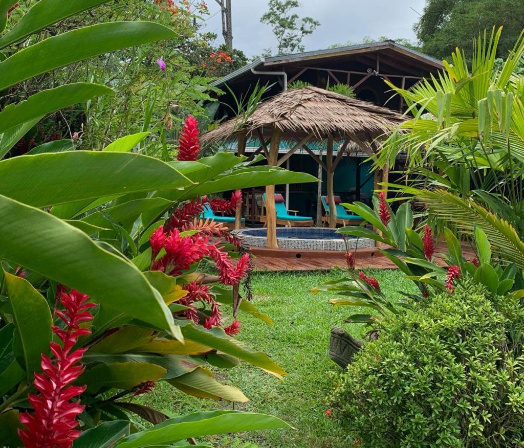 Casa Mambo Acomodação com café da manhã Cahuita Exterior foto