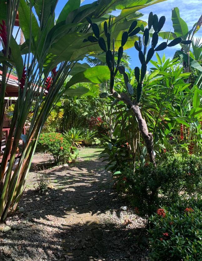 Casa Mambo Acomodação com café da manhã Cahuita Exterior foto