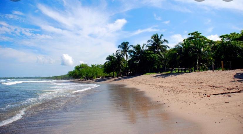 Casa Mambo Acomodação com café da manhã Cahuita Exterior foto